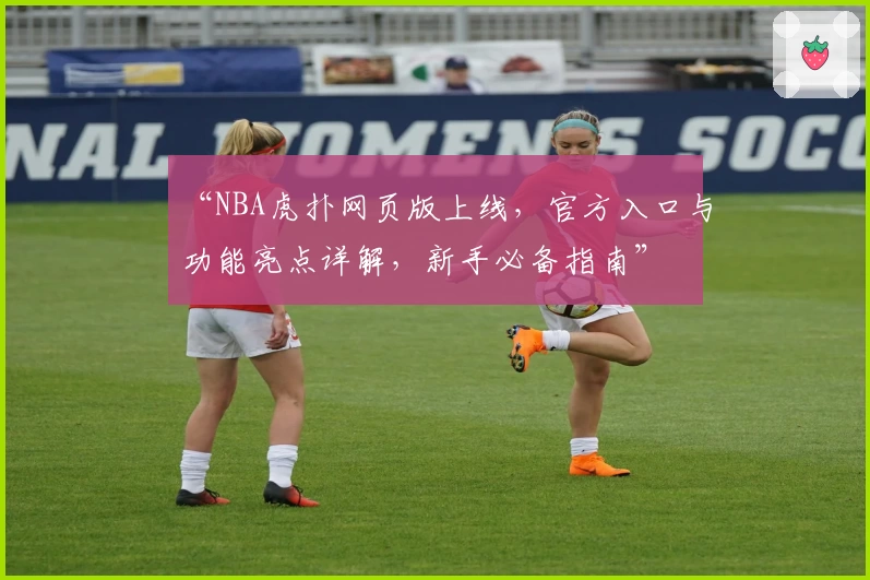“NBA虎扑网页版上线，官方入口与功能亮点详解，新手必备指南”