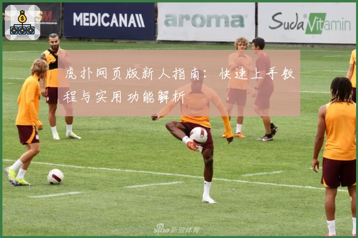 虎扑网页版新人指南：快速上手教程与实用功能解析