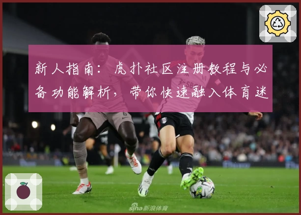 新人指南：虎扑社区注册教程与必备功能解析，带你快速融入体育迷的专属天地